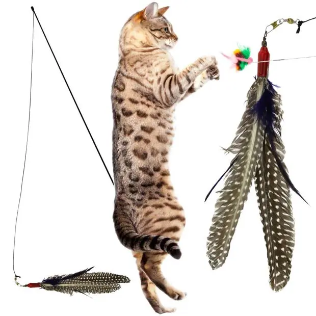 Best toys for cats that like to hunt sale