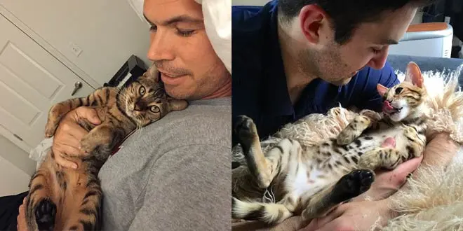 Happy Father's Day to CatDads
