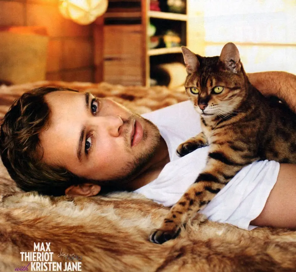 Celebs with bengal cats