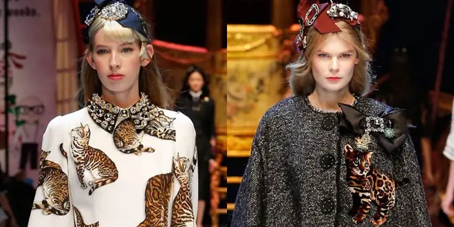 Bengal Cats on the Catwalk at Dolce & Gabbana's Fall Show