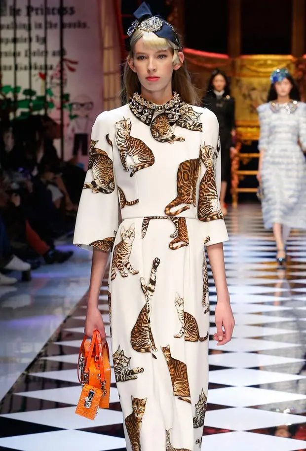 Bengal Cats on the Catwalk at Dolce & Gabbana's Fall Show