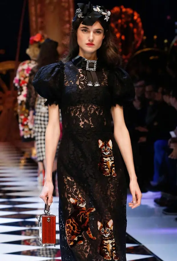 Dolce & Gabbana dress covered in Bengal kitten appliqués