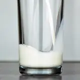Milk Dairy - Cats