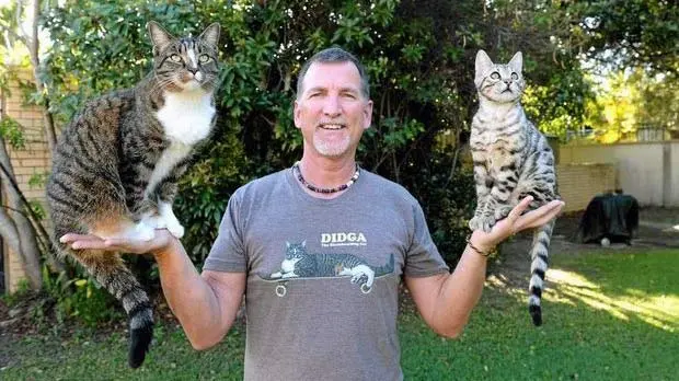 Cat trainer Robert Dollwet with Boomer and Didga