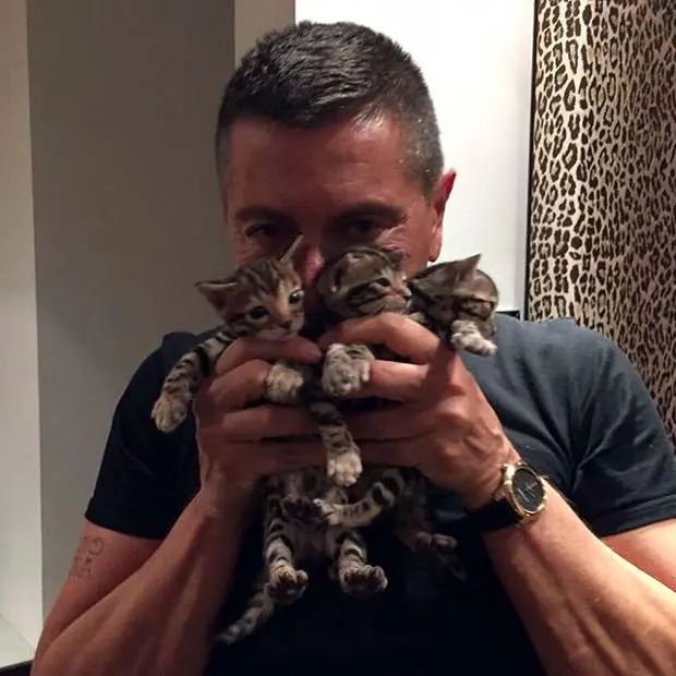 Stefano Gabbana with his Bengal Kittens