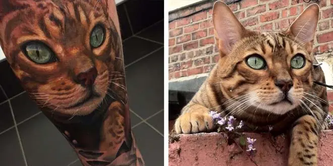 Bengal Cat Tattoo Matthew Herbert