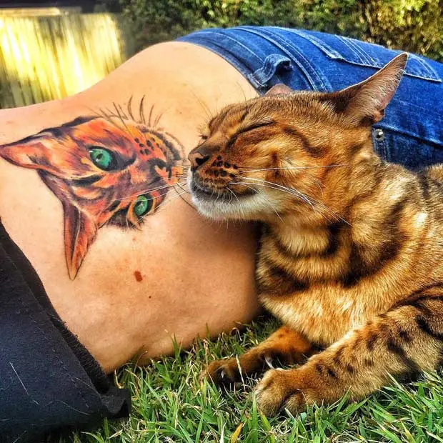 Bengals The Beautiful Cat - Tattoo