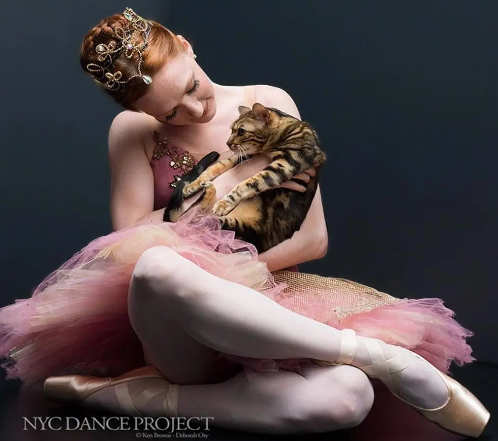 NYC Dance Project Bengal Cat