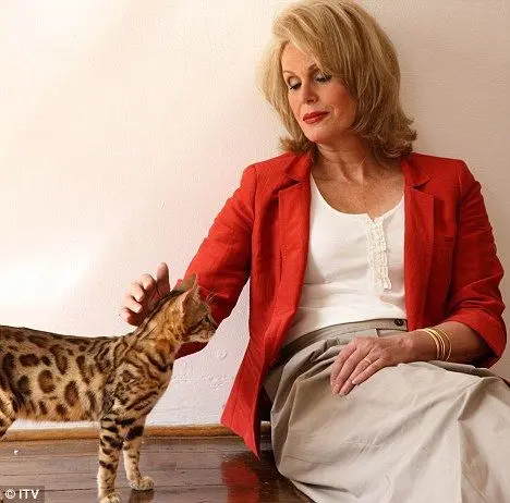 Joanna Lumley meets a Bengal cat