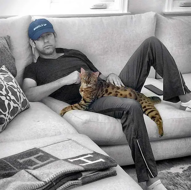 Doug Ellin's chilling on the sofa with his Bengal