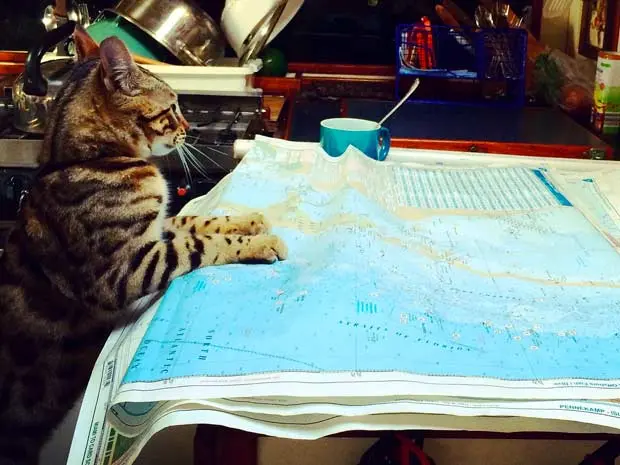 Captain Cooper with a map