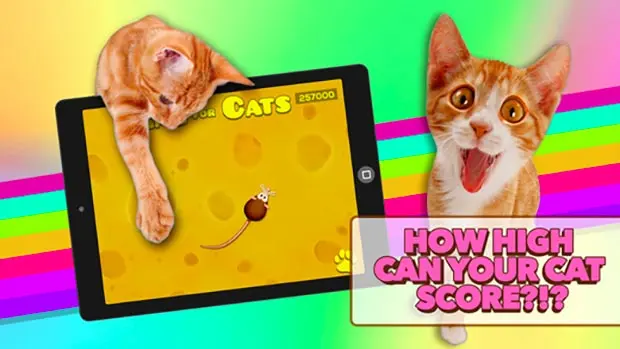 iPad Game For Cats