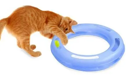 petsmart interactive cat toys