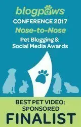 Blogpaws Best Pet Blog Video (Sponsored) Finalist