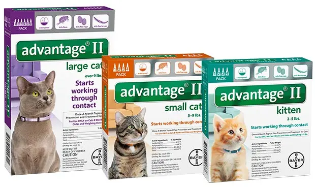 Bayer Advantage 2 for cats