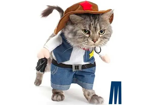 Cat Cowboy Costume