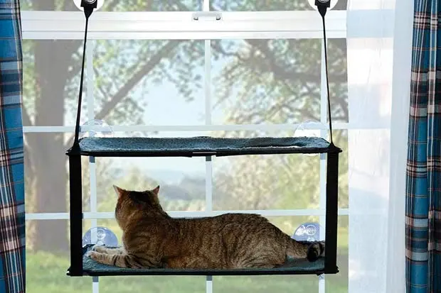 Kitty Sill Ez Window Mount
