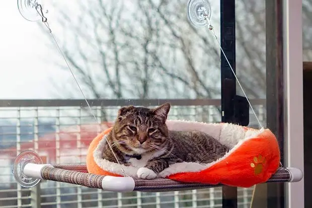 Kitty Cot Cat Perch