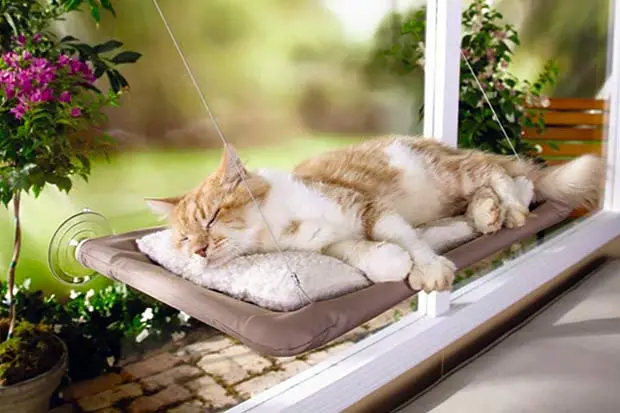 Oster Sunny Seat Window-Mounted Cat Bed