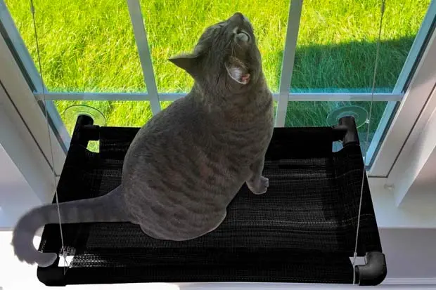 Sturdy Cat Window Perch Hammock 