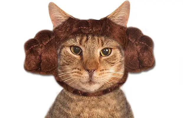 Princess Leia Cat Costume 