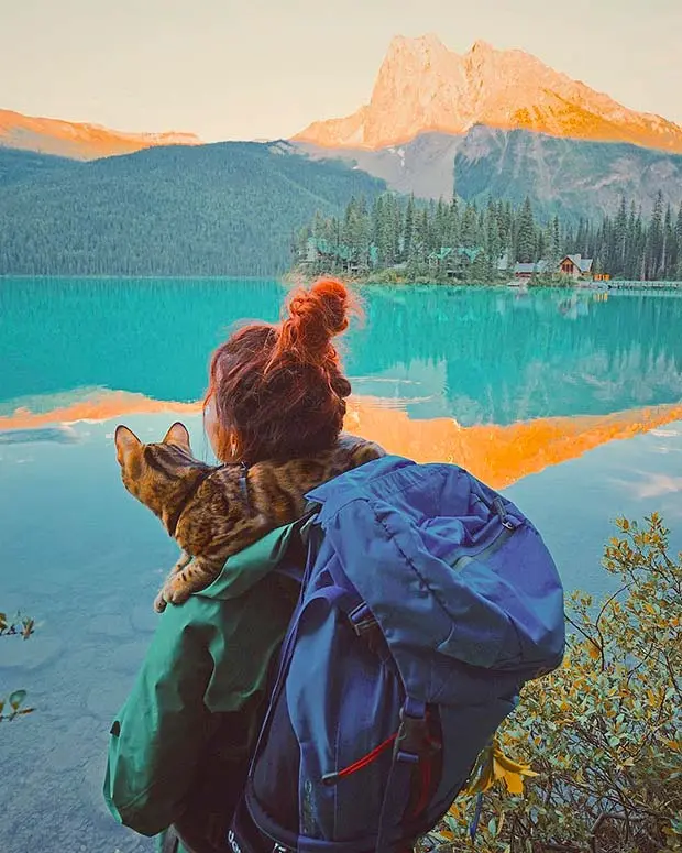 Watching the sunset at Emerald Lake with my human