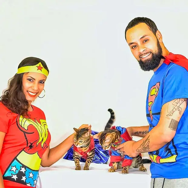 Bengal cats in superman costumes