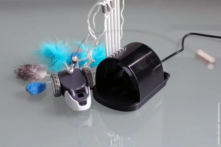 petronics mousr robotic cat toy