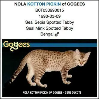Nola Kotton Pickin of Gogees