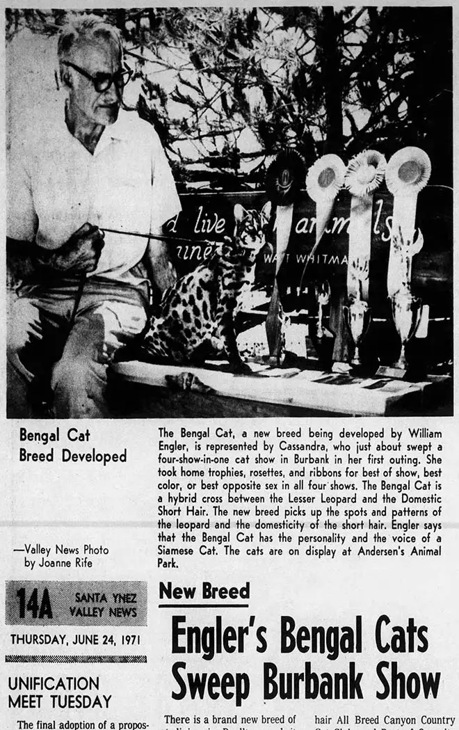 William Engler with Bengal Cat in 1971