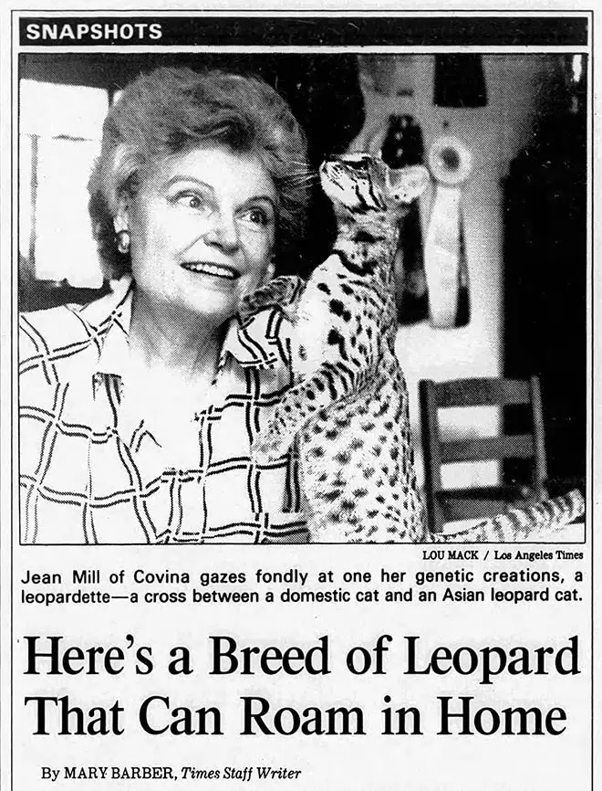 Jean Mill's Leopardettes in 1987