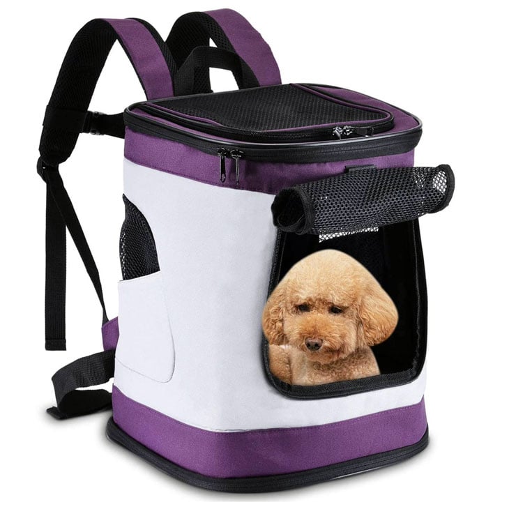 Pettom Pet Backpack