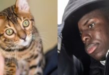 UPDATE: Kurt Zouma Sentenced After Pleading Guilty To Abusing Bengal Cats