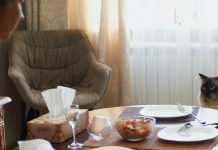 10 Thanksgiving Treats That Are Safe for Your Cat