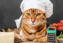 10 People Foods We Can Share With Our Cats