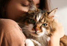 Celebrate The Felines: The Ultimate List Of Annual Cat Days and Holidays