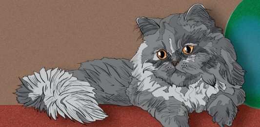 8 Cat Breeds That Love Winter