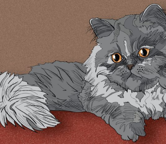8 Cat Breeds That Love Winter