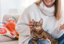 10 Reasons Why Being A “Crazy Cat Person” Is A Good Thing