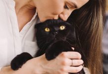 10 Reasons To Be Thankful For Your Cat