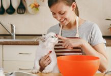 5 Easy DIY Cat Treat Recipes