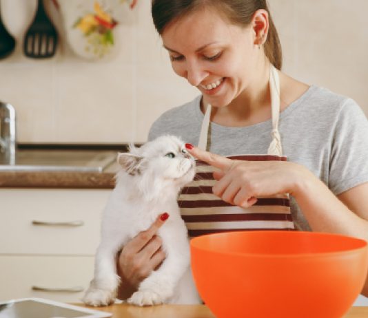 5 Easy DIY Cat Treat Recipes
