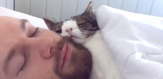 Unlikely Duo: Man and Unique Cat Share Touching Nightly Ritual