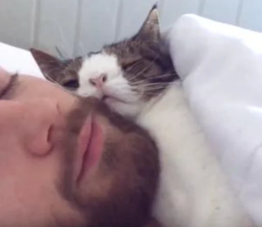 Unlikely Duo: Man and Unique Cat Share Touching Nightly Ritual