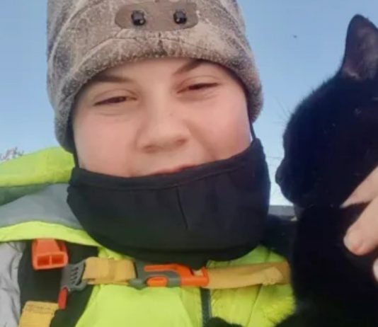 Teen Greets Stray Cat, Finds and Rescues Elderly Neighbor in Need