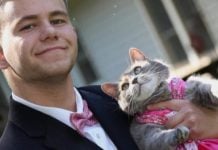 High Schooler’s Cat Becomes Prom Royalty!