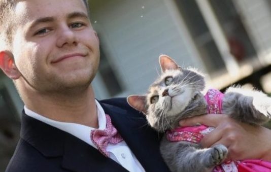 High Schooler’s Cat Becomes Prom Royalty!
