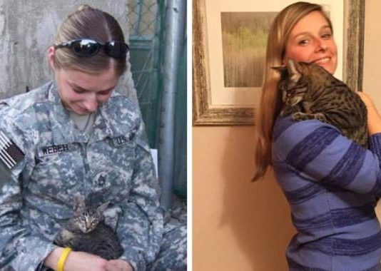Hero Soldier Battles to Save Disabled Kitten & Bring Her Home to the U.S.