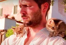 Rescued Kittens Cling to Their Savior, Following Him Everywhere