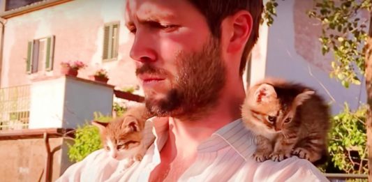 Rescued Kittens Cling to Their Savior, Following Him Everywhere
